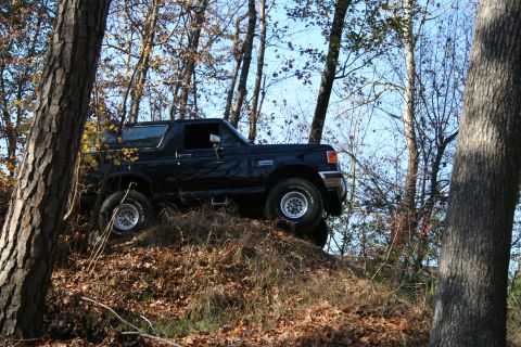 1982 Ford Bronco - A black Ford Bronco navigates a wooded incline, its tires gripping the uneven terrain.