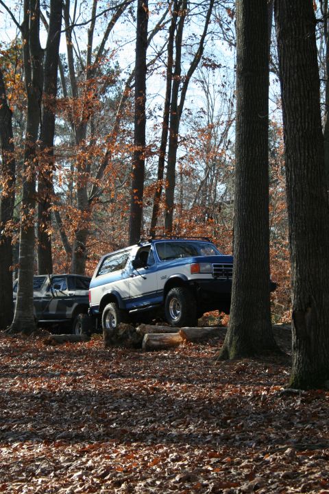 1982 Ford Bronco - A blue and white Ford Bronco navigates logs in a forest, with another SUV visible behind it.