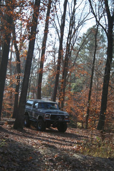 1982 Ford Bronco - A 1980 Ford Bronco is seen parked off-road amongst trees with autumn leaves.