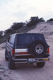 1988 Ford Bronco - Rear view of a Ford Bronco with a soft top, equipped with a spare tire and license plate.