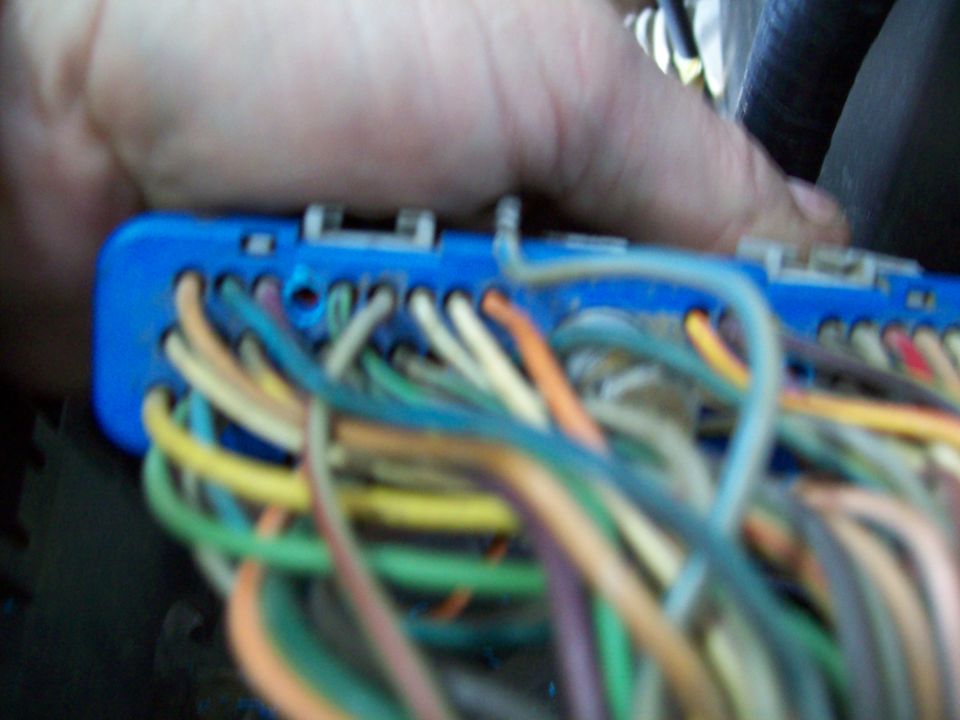 Blue electrical connector with colorful wires