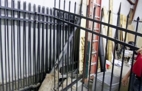 2000 Mercury Grand Marquis - Metal fence panels are stored indoors with a ladder and other items in the background.