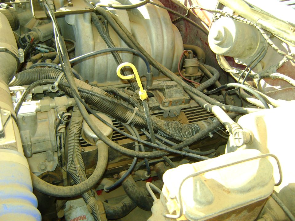 engine bay with hoses and wires