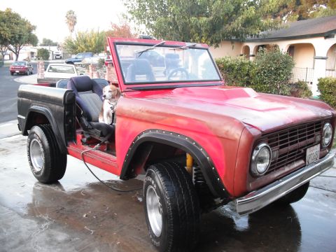 1968 Ford Bronco - Three-quarter front view of a red early Ford Bronco parked doorless and topless on a wet driveway after a wash, with a beagle sitting in th…