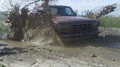 1995 Ford F-150