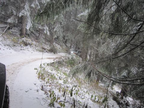 2008 Jeep Wrangler - A silver SUV navigates a snow-covered road through a dense forest.