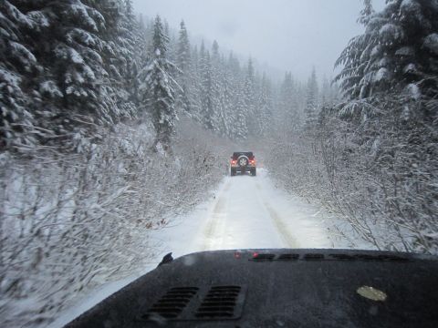 2008 Jeep Wrangler - Two Jeeps travel down a snow-covered road surrounded by snow-laden trees.