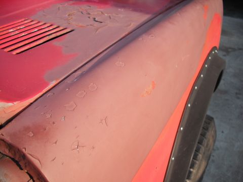 1968 Ford Bronco - Close-up of a 1968 Ford Bronco's hood and fender, highlighting areas of rust and paint damage.