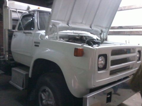 1995 Ford Bronco - This white truck is shown from the front with its hood open, revealing the engine compartment.