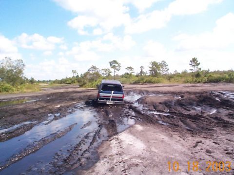1995 Ford Bronco - SUV stuck in mud on a dirt track with trees and a cloudy sky.