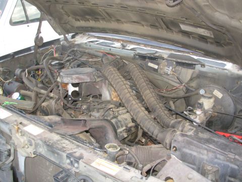 1983 Ford Bronco - '95 Bronco black XLT 5.8L E4OD EEC-IV MAP Opal interior