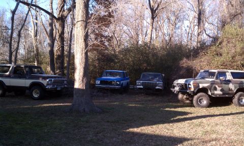 1979 Ford Bronco - Several SUVs are parked outdoors in a grassy area surrounded by trees and brush.
