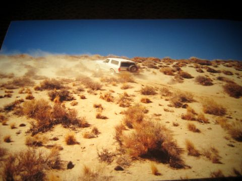 1996 Ford Bronco - A white SUV navigates a dusty, arid landscape under a clear blue sky.