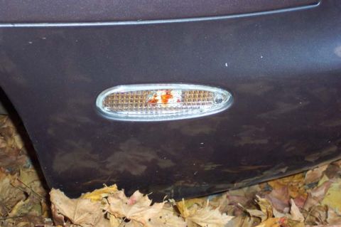 1996 Ford Taurus - Side marker light assembly on a vehicle, surrounded by fallen leaves.