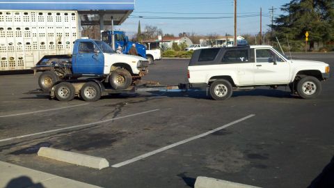 1980 Toyota Hilux photo
