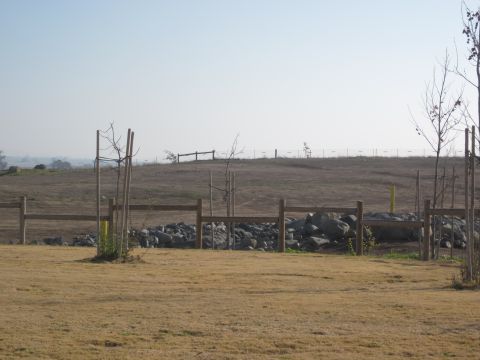 1985 Ford Bronco - Dry grassy field with a wooden fence and scattered rocks, under a pale sky. Supermotors logo visible.