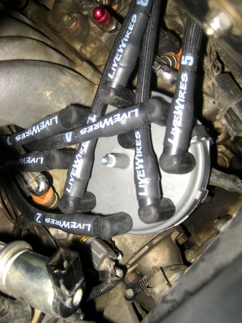 1996 Ford Bronco - Close-up view of engine spark plug wires and distributor cap, with visible labeling.