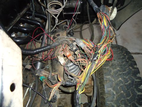1987 Ford F-150 - Close-up of a complex engine wiring harness with numerous wires and connectors.