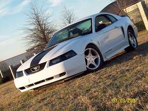 2000 Ford Mustang - A white 2000 Ford Mustang with black racing stripes is parked outdoors on a grassy slope.