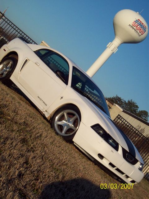 2000 Ford Mustang - White 2000 Ford Mustang coupe with black racing stripes parked on grass near a water tower.