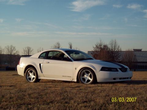 2000 Ford Mustang - A white Ford Mustang coupe with black racing stripes on the hood is parked in a field under a clear sky.