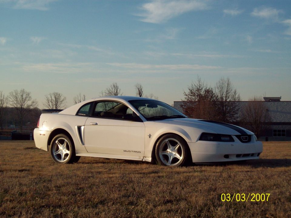 White Ford Mustang coupe with black racing stripes on the hood, parked on dry grass with a building in the background