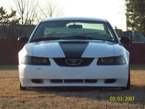 2000 Ford Mustang - White 2000 Ford Mustang shown from the front with a black hood stripe.