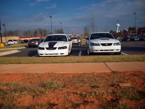 2000 Ford Mustang - Two white Ford Mustangs are parked side-by-side in a parking lot under a bright blue sky.