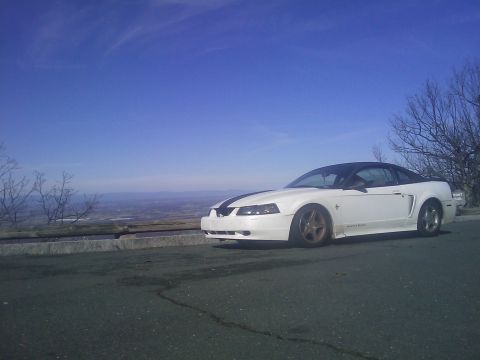 2000 Ford Mustang photo