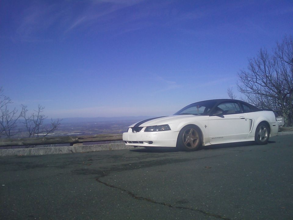 White 2000 Ford Mustang with black racing stripes parked on a scenic overlook