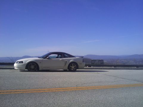2000 Ford Mustang photo