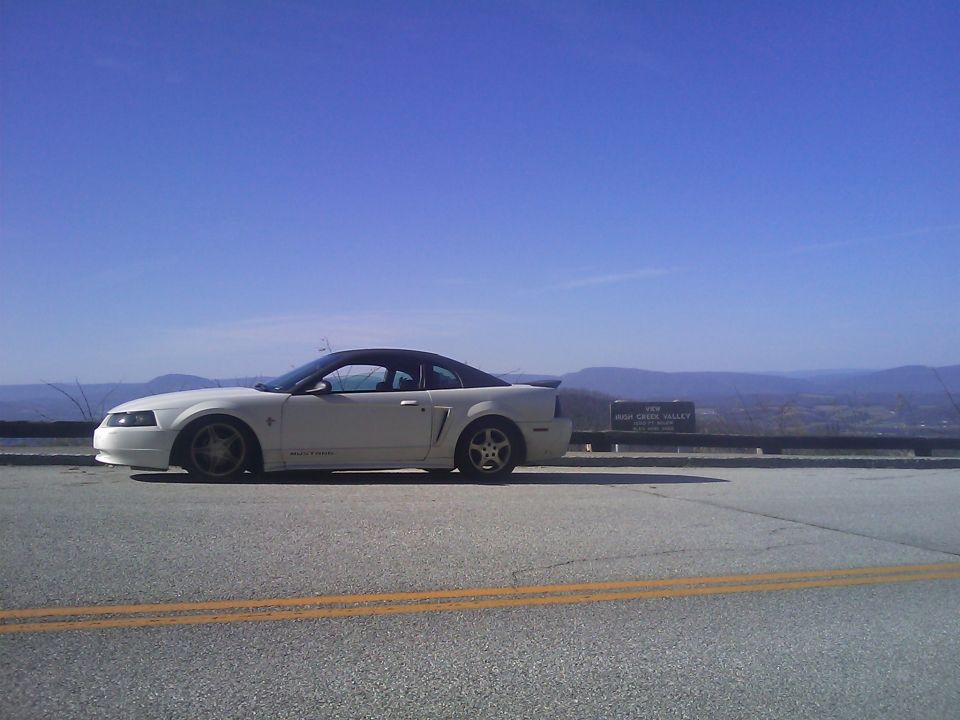 White 2000 Ford Mustang parked on roadside overlooking a valley