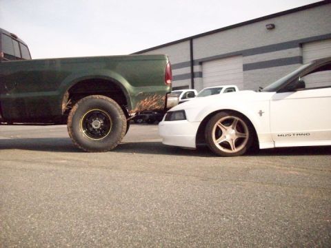 2000 Ford Mustang photo