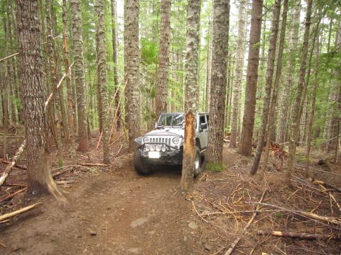 2008 Jeep Wrangler - A Jeep Wrangler navigates a wooded trail, its tires kicking up dirt.