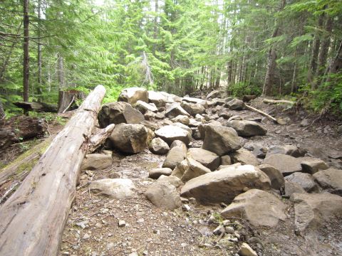 2008 Jeep Wrangler - A dense forest path is obstructed by a fallen tree and numerous large rocks.