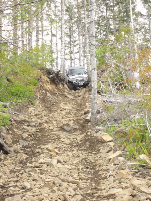 2008 Jeep Wrangler - A white Jeep Wrangler navigates a steep, rocky path through a forest.