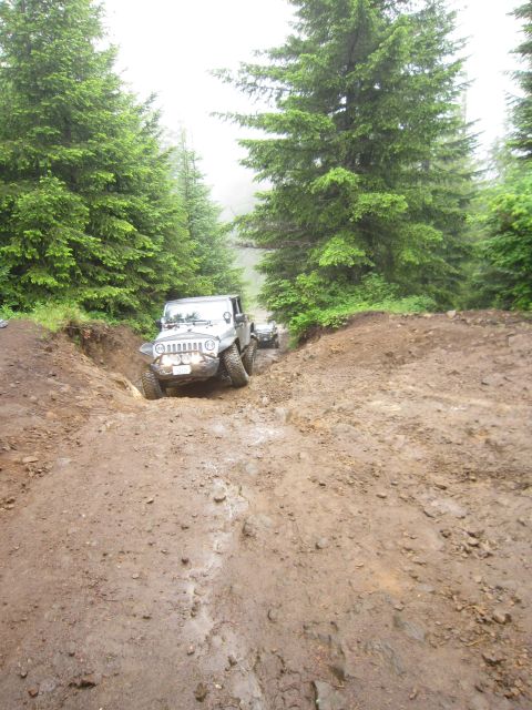 2008 Jeep Wrangler - Two Jeeps tackle a challenging muddy off-road trail surrounded by dense evergreen trees.