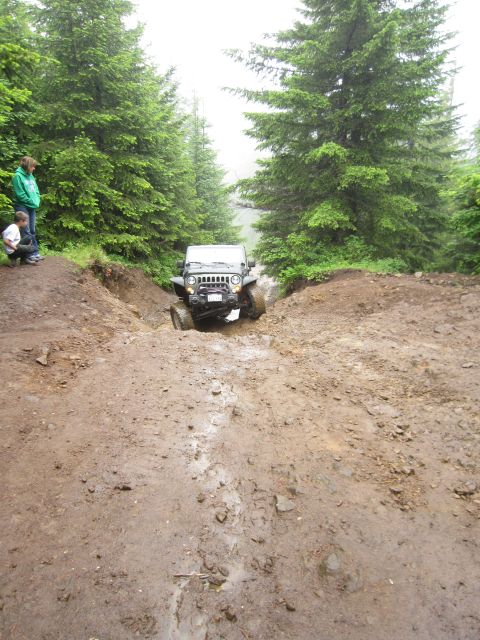 2008 Jeep Wrangler - A Jeep Wrangler drives through a muddy off-road path surrounded by dense forest.