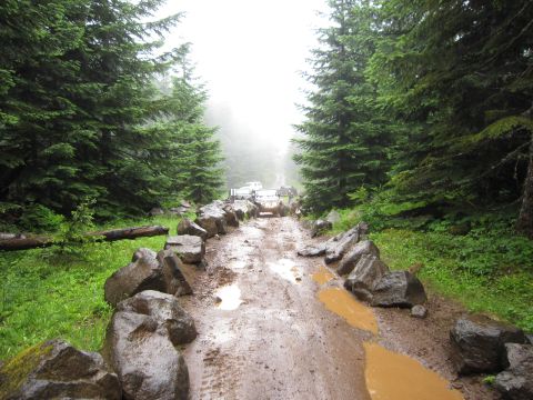 2008 Jeep Wrangler - Several white SUVs navigate a challenging, muddy, and rocky path through a dense forest.