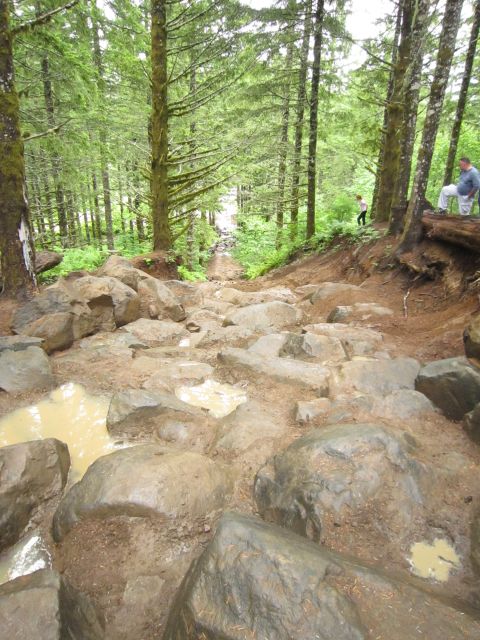 2008 Jeep Wrangler - A challenging off-road trail winds through a dense forest, with large rocks and mud puddles.