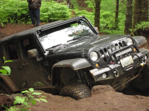 2008 Jeep Wrangler - Off-road Jeep Wrangler navigating a muddy trail with trees and ferns in the background.