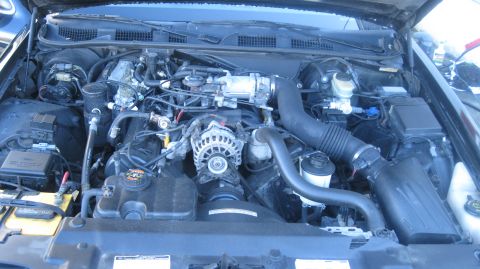 1999 Ford Crown Victoria photo