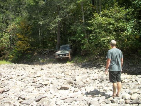 1979 Ford Bronco - A 1979 Ford Bronco tackles a challenging off-road path through a dense forest and rocky terrain.