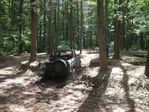 1979 Ford Bronco - A 1979 Ford Bronco navigates a muddy trail through a dense forest.