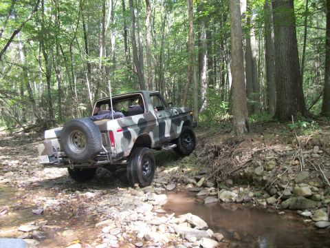 1979 Ford Bronco - Ford Bronco navigates a wooded stream bed, its off-road capabilities.
