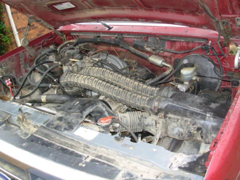 1983 Ford Bronco - I found this on CraigsList not even 10 miles from my house; it has a 5.8L with a SEVERE bottom-end knock, shorty headers, and possibly some…