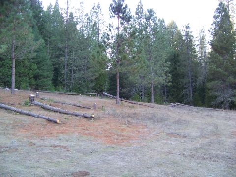 1994 Ford F-150 - A wooded hillside shows recently cut logs scattered across the ground, with a "SUPERMOTORS" watermark in the lower right corner.