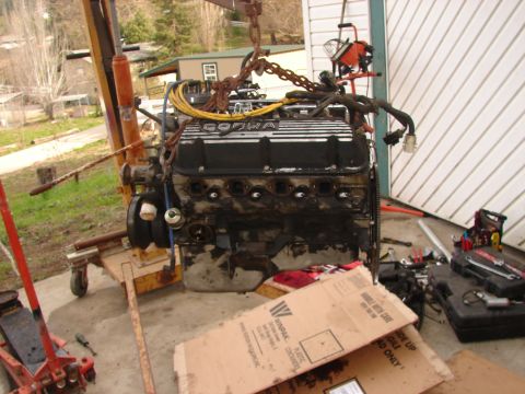 1973 Ford Ranchero - Engine with "COBRA" lettering on valve cover, suspended by chains and an engine hoist, with tools and cardboard boxes nearby.