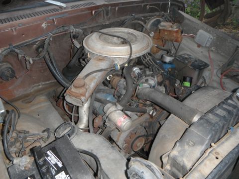 1979 Ford Bronco - The engine compartment of a vehicle shows various mechanical parts, hoses, and the battery.