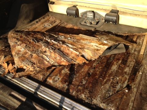 1979 Ford Bronco - The interior floor pan of a vehicle shows extensive rust and damage, obscuring any specific model year identification.